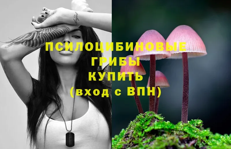 Галлюциногенные грибы Magic Shrooms  как найти   Беломорск 