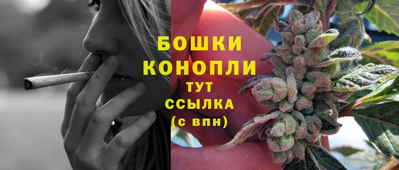 Конопля Ganja  Беломорск 